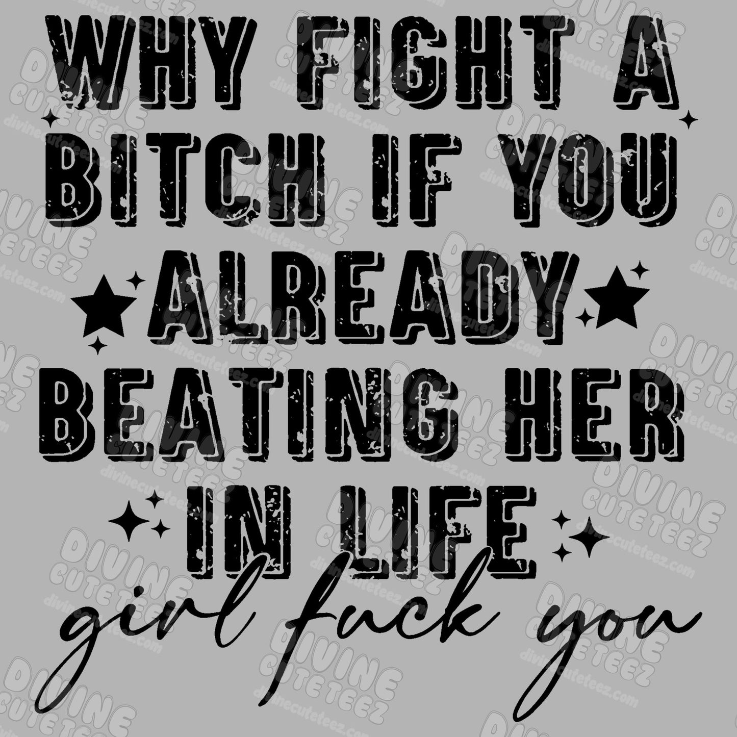 Why Fight A Bitch If You Already Beating Her In Life DTF Transfer