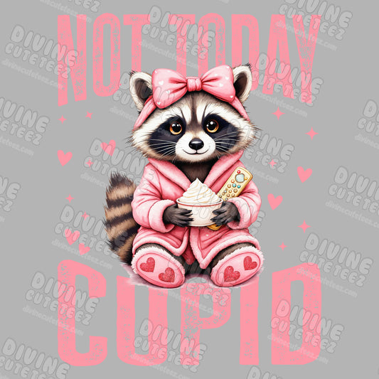 Not Today Cupid Raccoon DTF Transfer