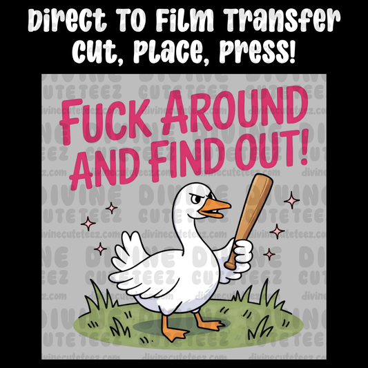 Fuck Around and Find Out