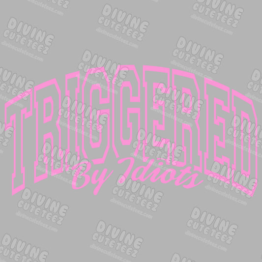 Triggered By Idiots DTF Transfer