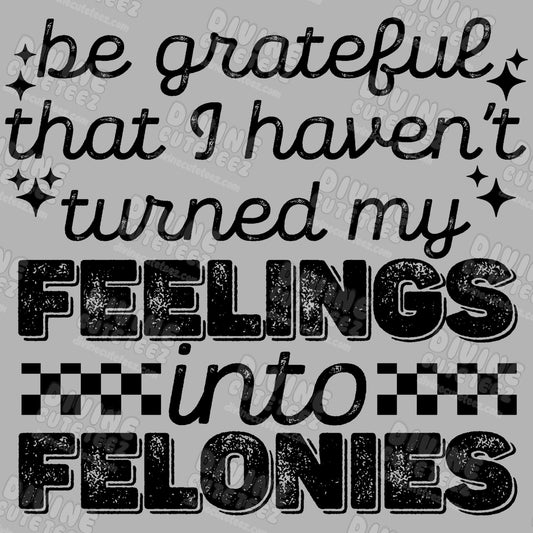 Be Grateful That I Havent Turned My Feelings Into Felonies DTF Transfer