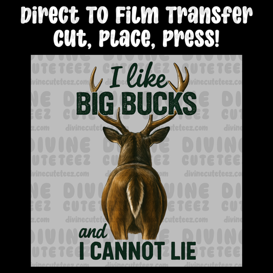 I Like Big Bucks And I Cannot Lie