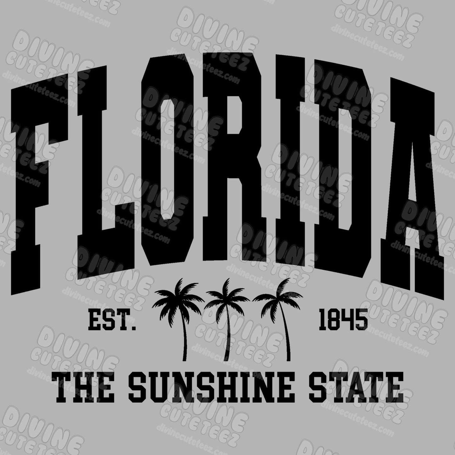 Florida The Sunshine State DTF Transfer