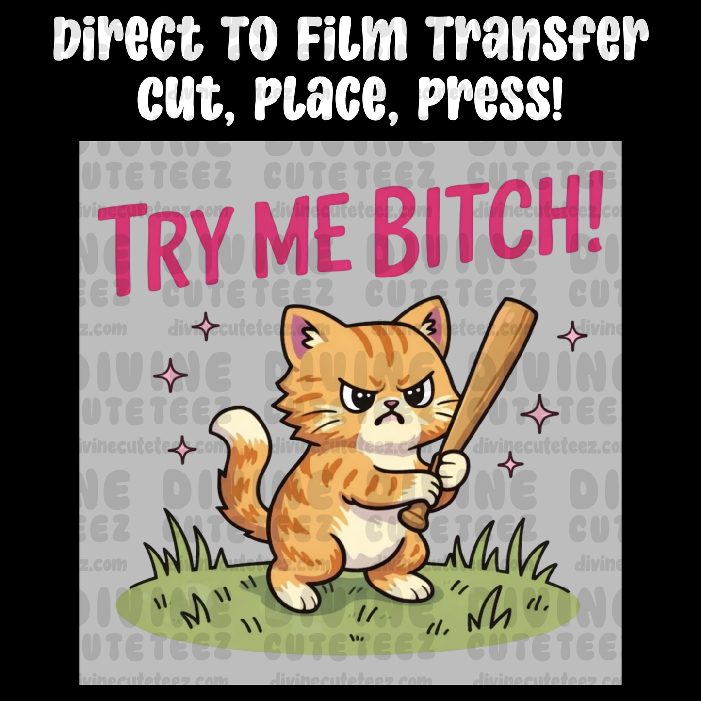 Try Me Bitch