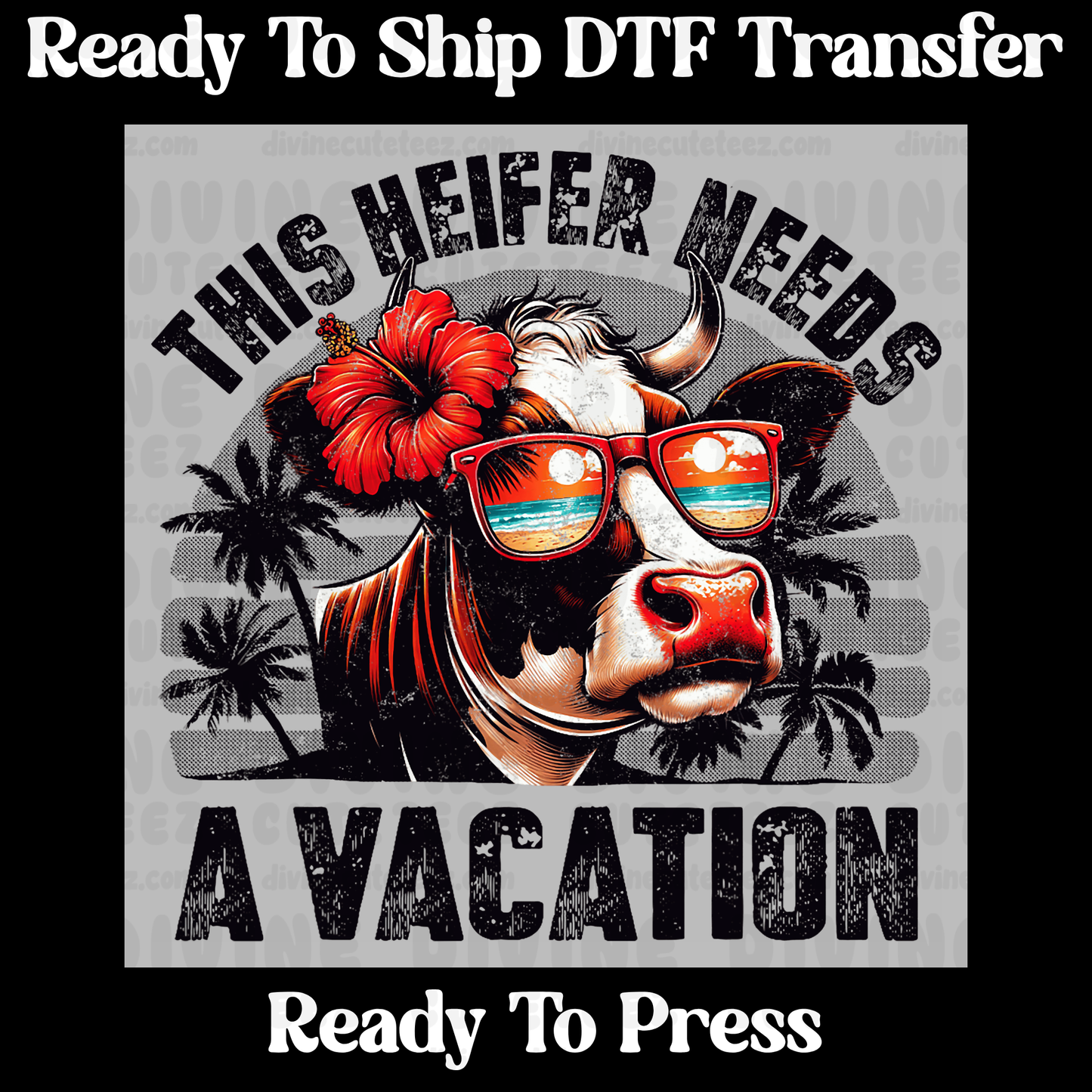 This Heifer Needs A Vacation