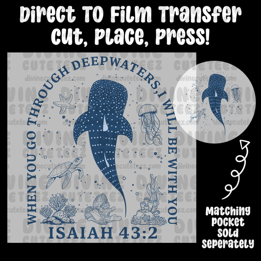 When You Go Through Deep Waters I Will Be With You