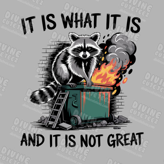 Is What It Is DTF Transfer