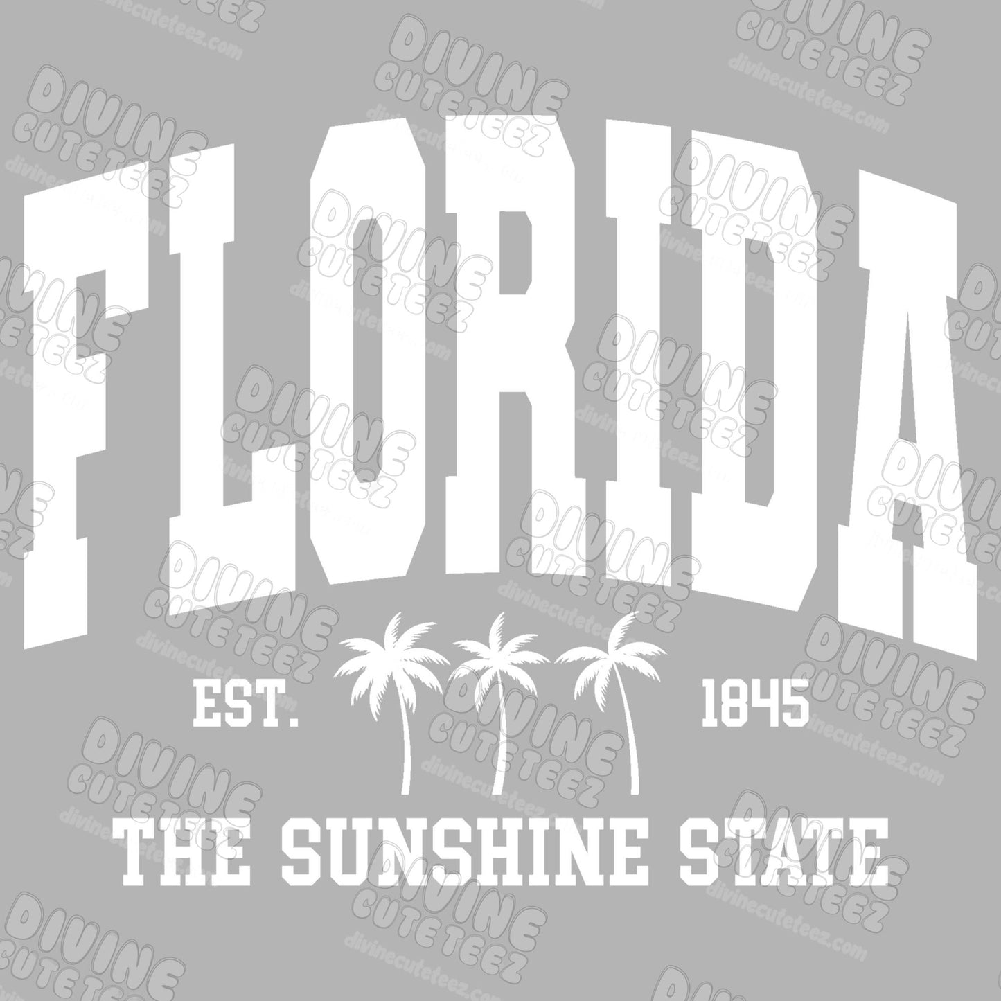 Florida The Sunshine State DTF Transfer
