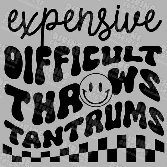 Expensive Difficult Throws Tantrums DTF Transfer