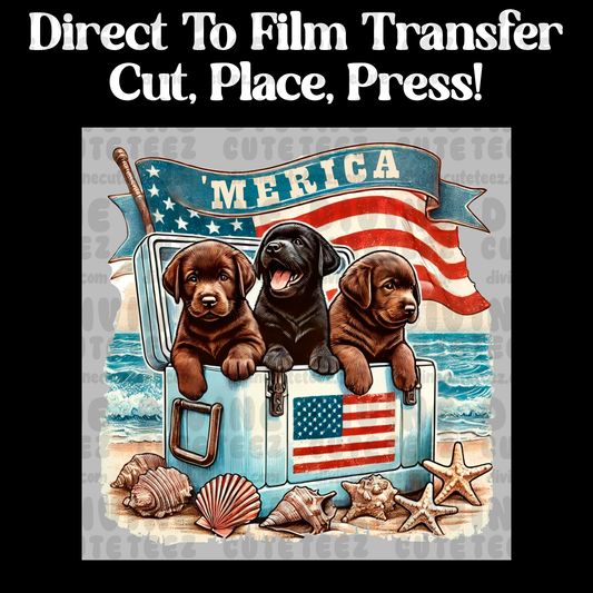Merica Dogs