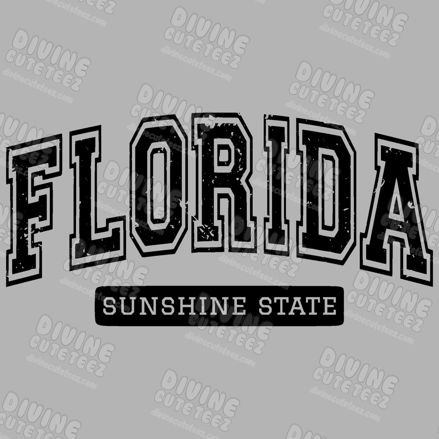 Florida The Sunshine State DTF Transfer