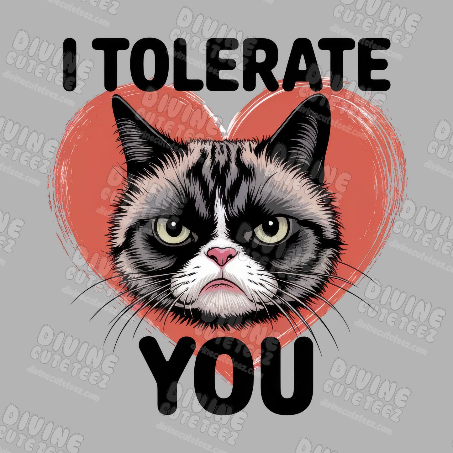 I tolerate you DTF Transfer