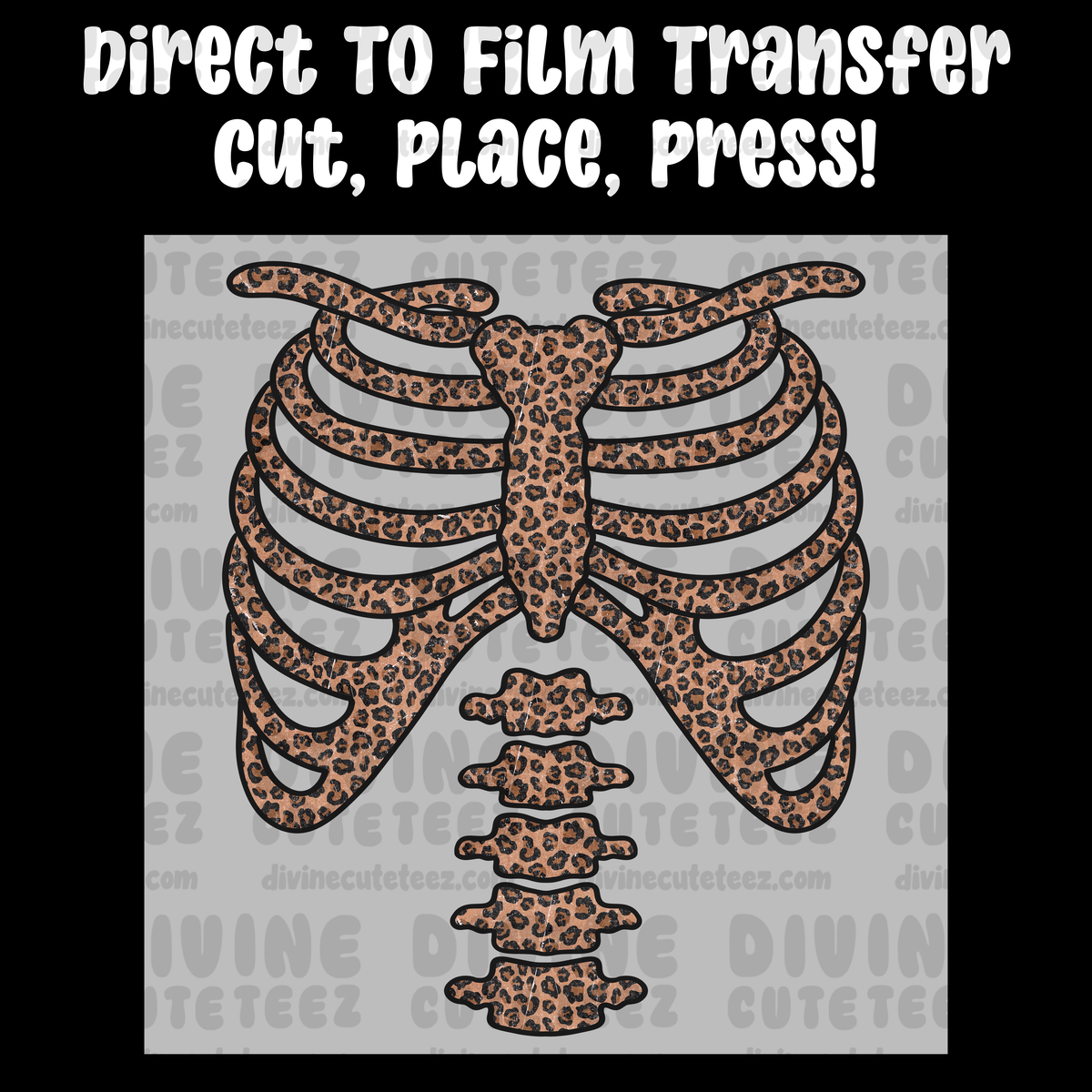 Cheetah Skeleton Rib Cage