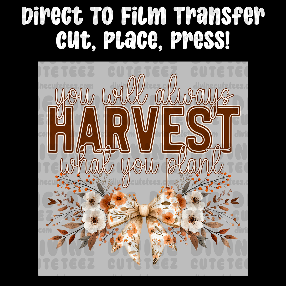 You Will Always Harvest What You Plant