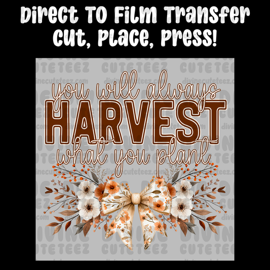 You Will Always Harvest What You Plant