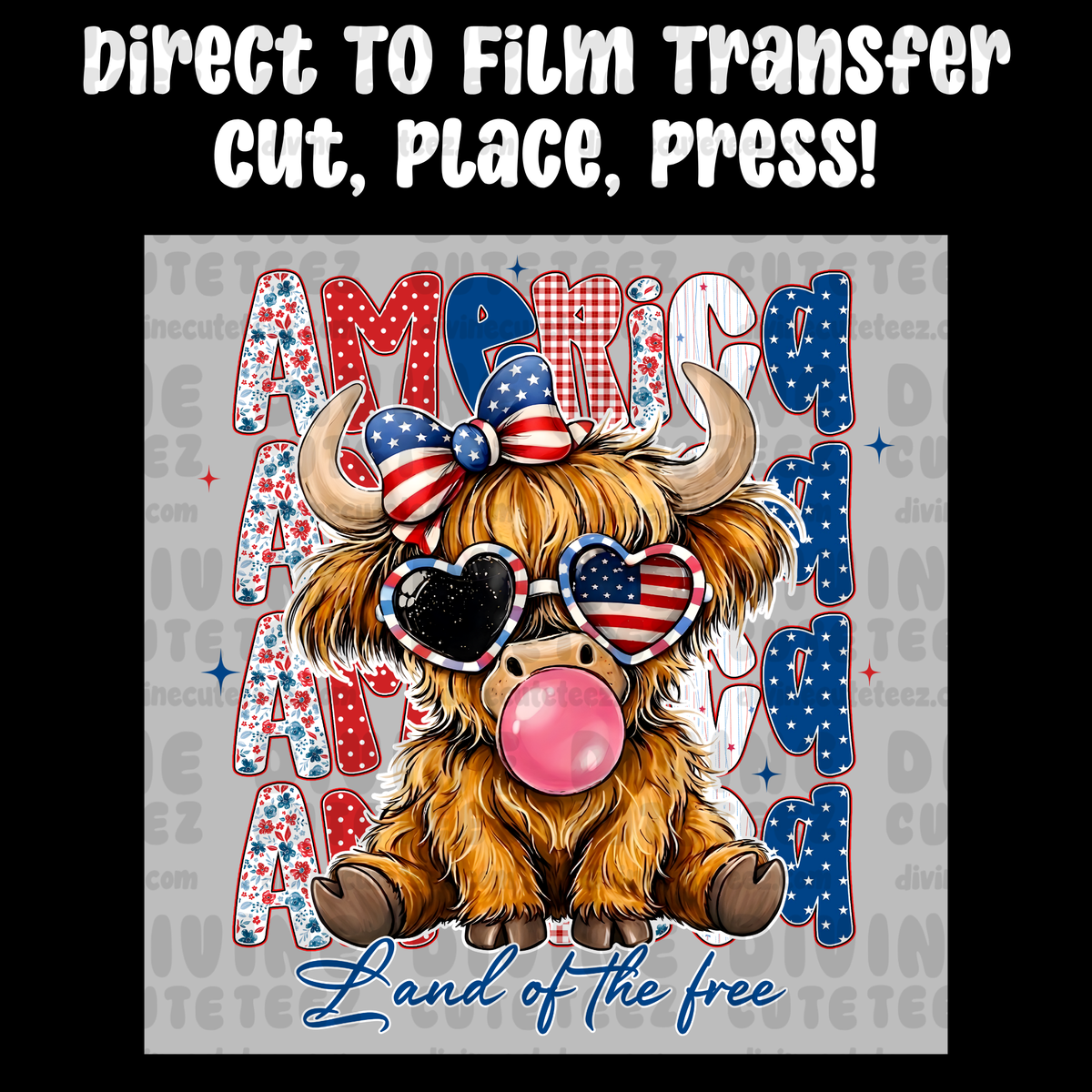 America Land Of The Free