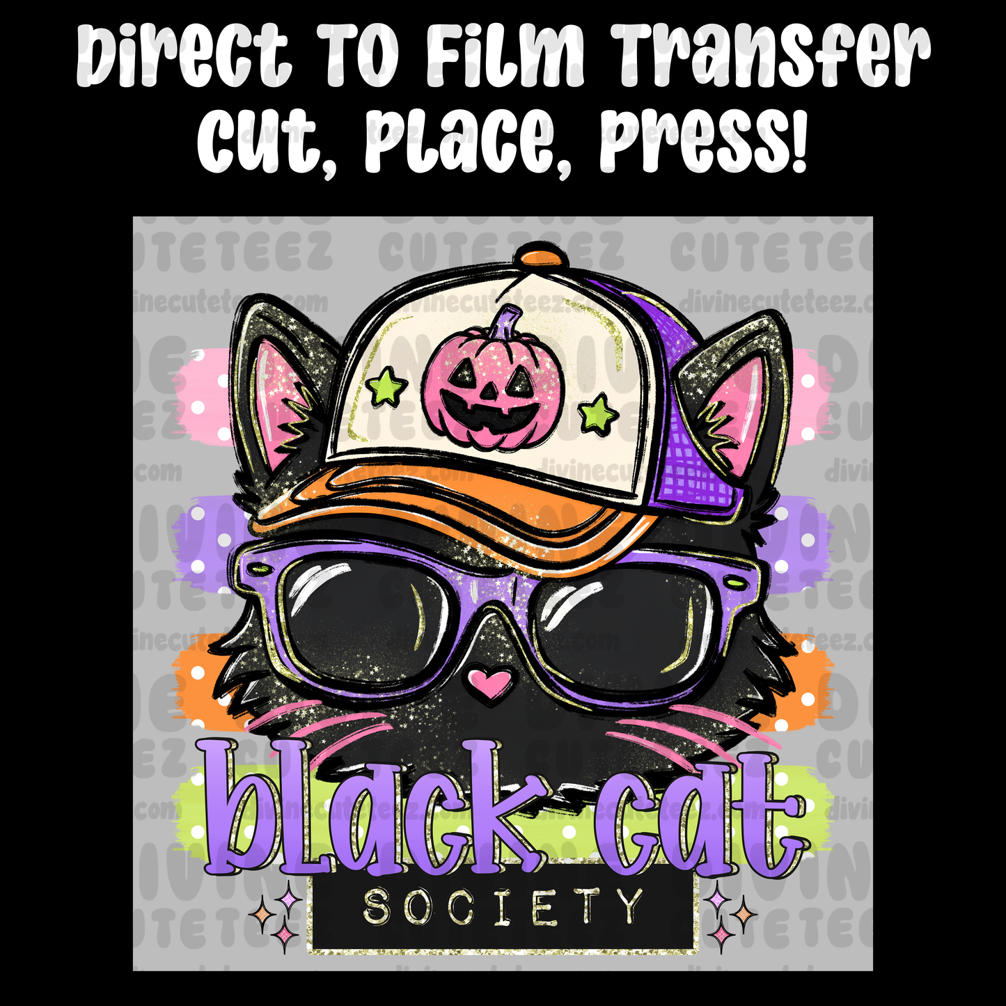 Black Cat Society