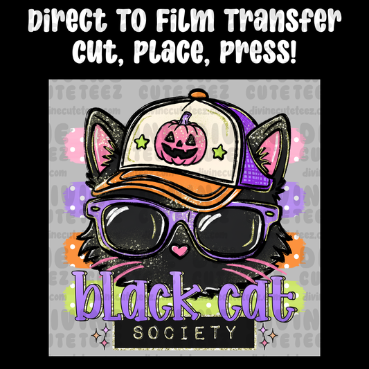 Black Cat Society
