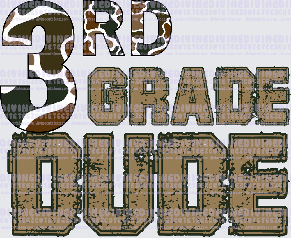 3rd Grade Dude