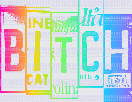 Bitch