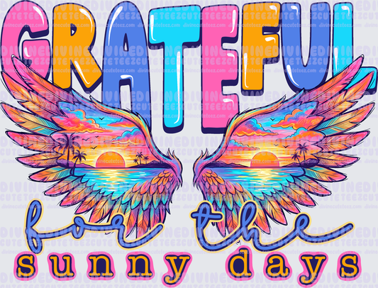 Grateful For The Sunny Days