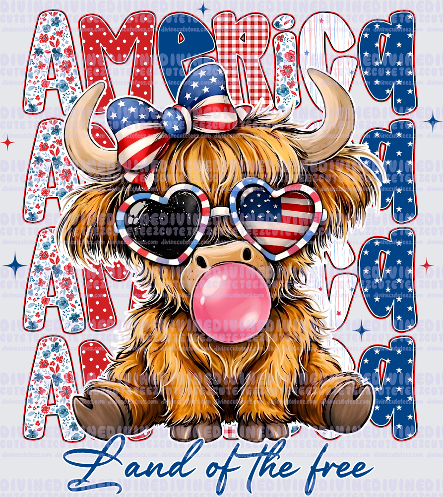 America Land Of The Free