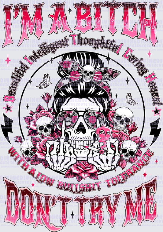 Im A Bitch Dont Try Me